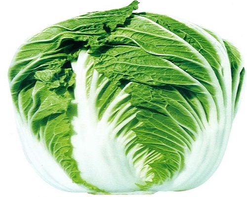 春研夏白3號(hào),大型水溶肥廠(chǎng)家