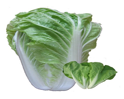 早熟8號,液體水溶肥