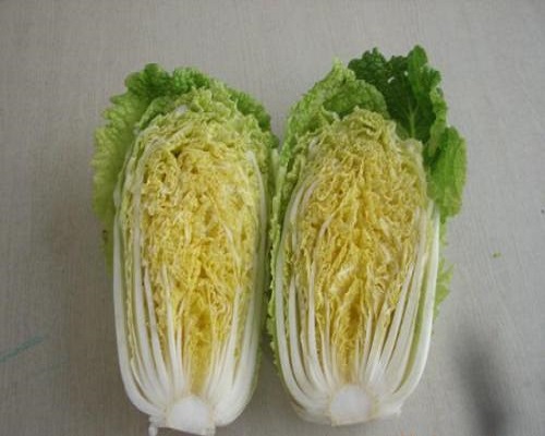 京秋黃心70,?；ū９~面肥